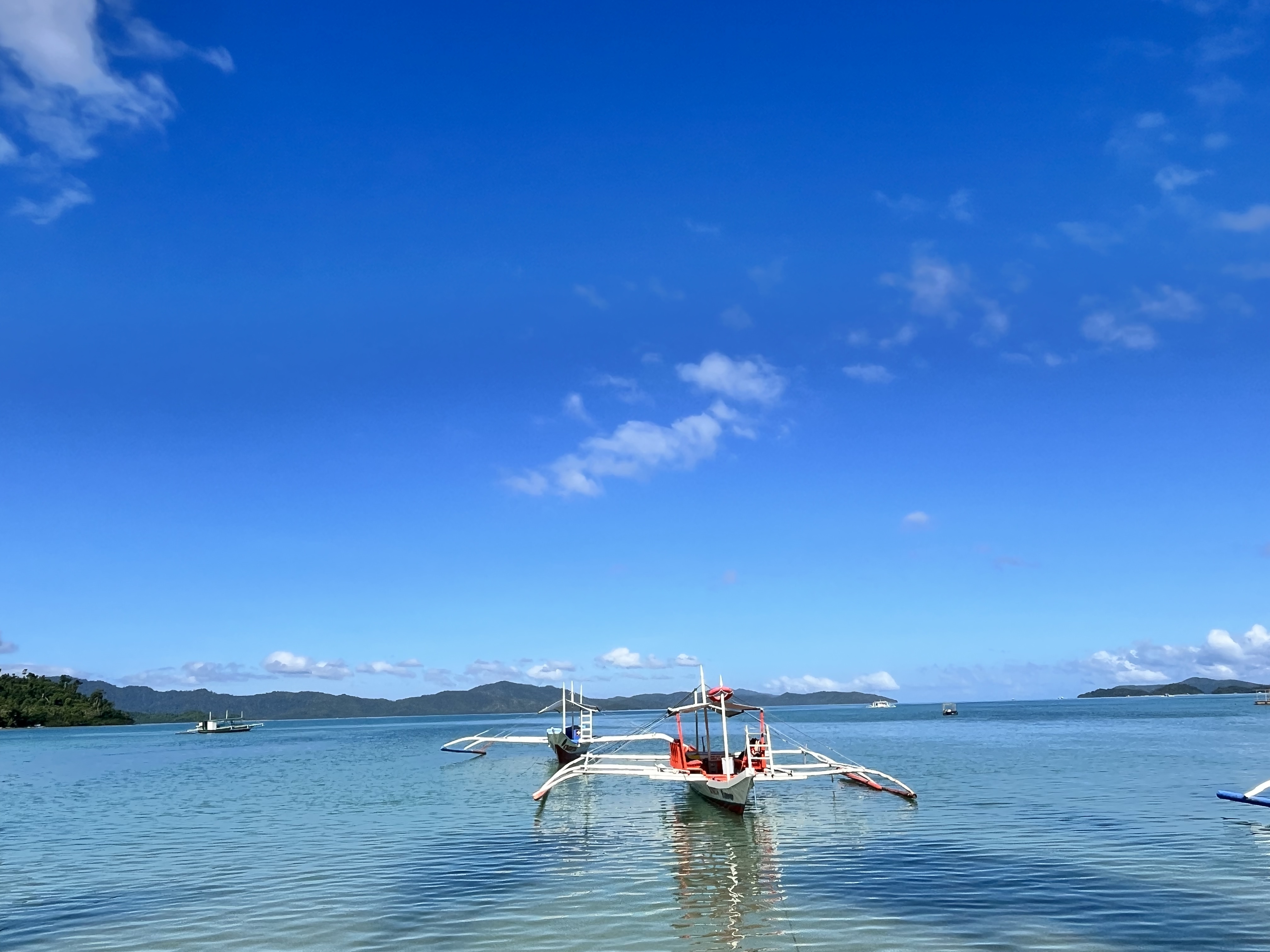 Profile picture for user Monica58Bo