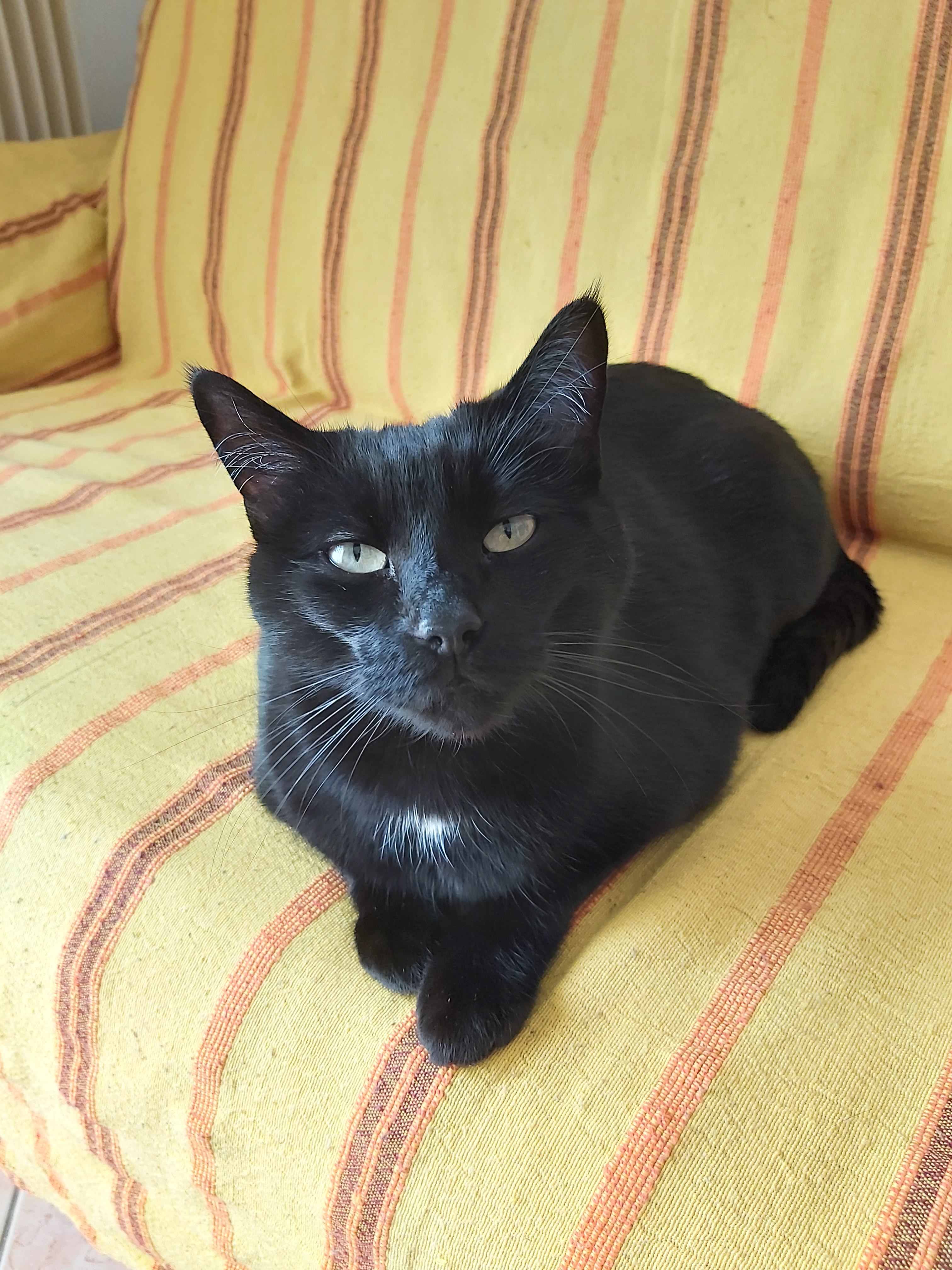 Profile picture for user Nick.77