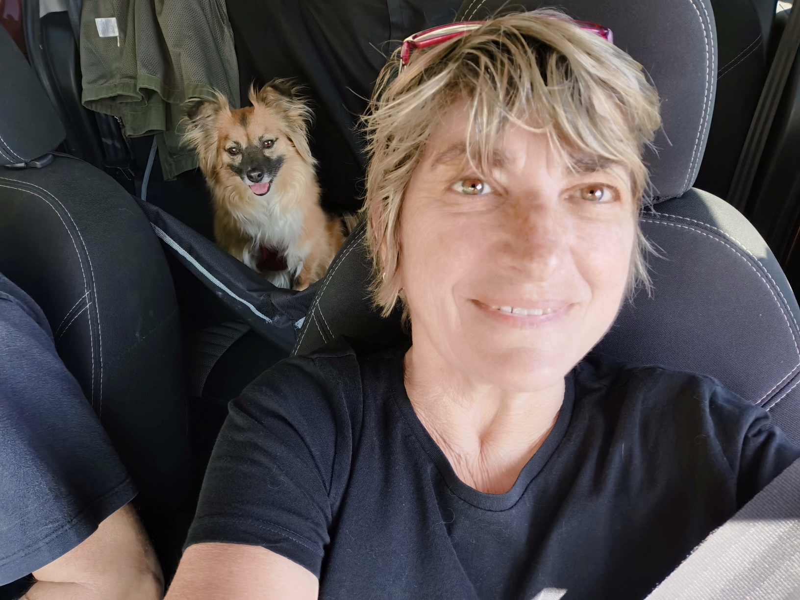 Profile picture for user pieramarchioni