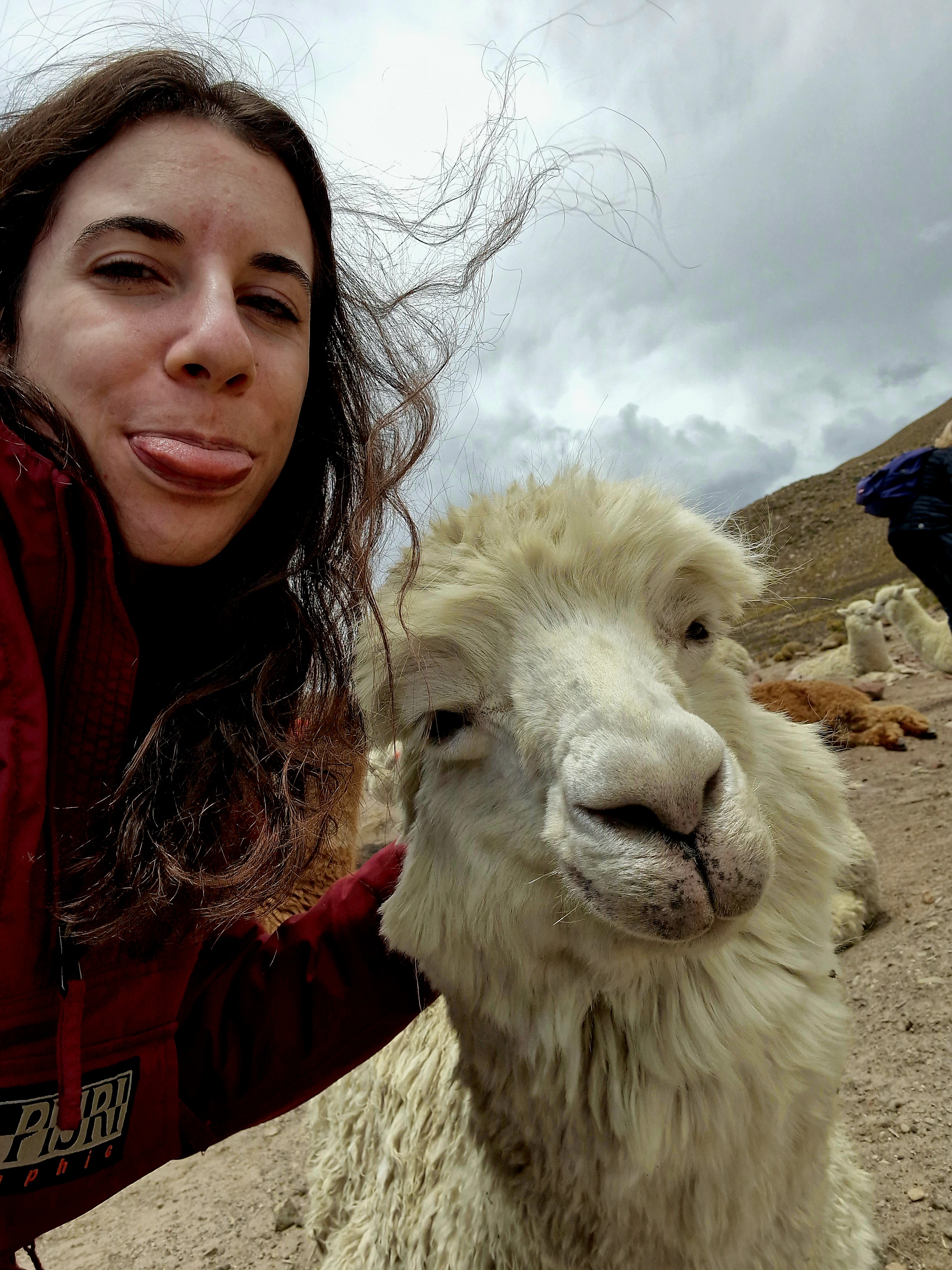 Profile picture for user Pills