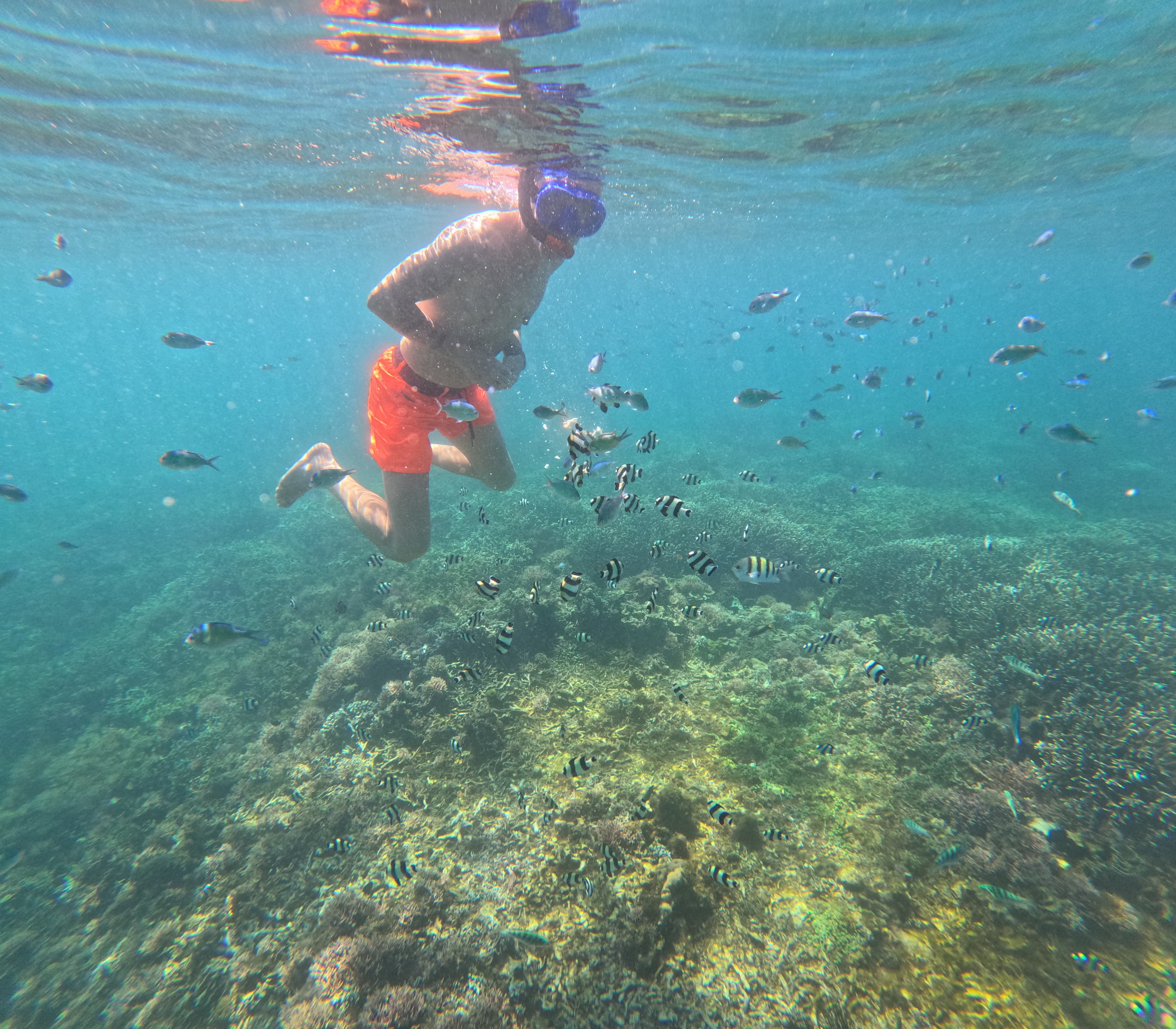 Profile picture for user Portofranco74