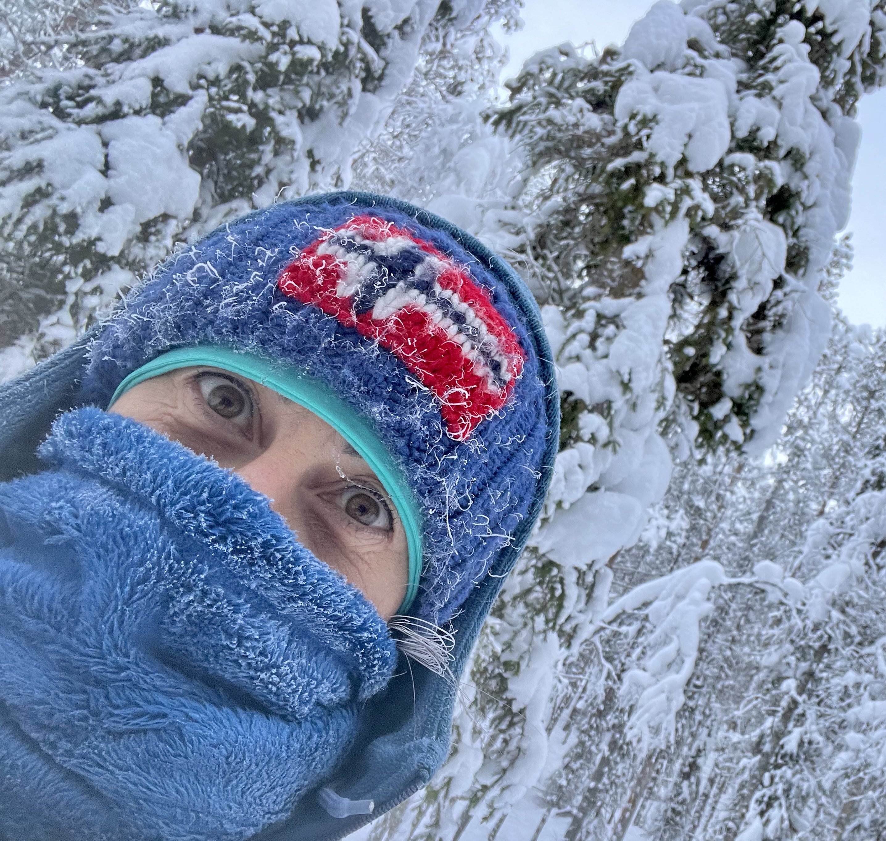 Profile picture for user sabripara