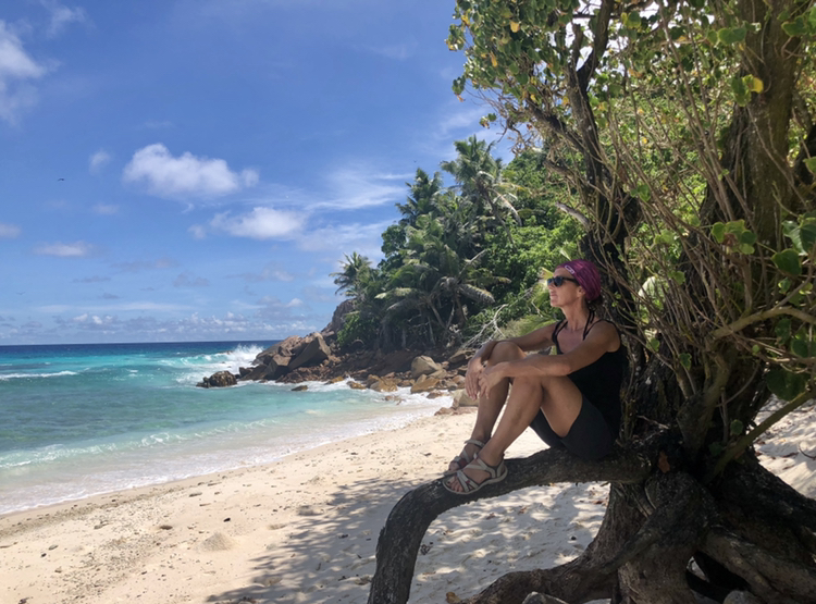 Profile picture for user EleNuvola