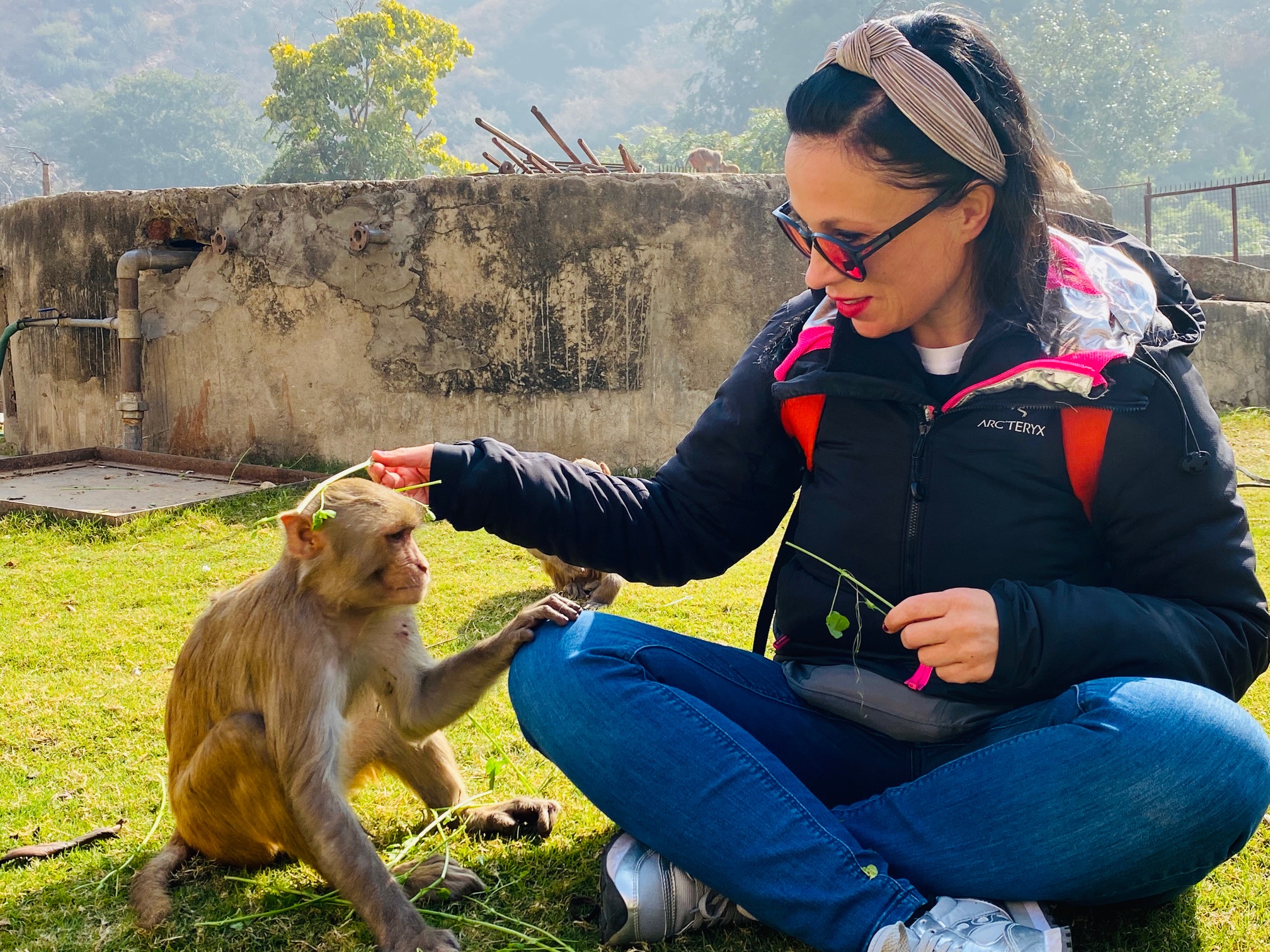 Profile picture for user Girgia