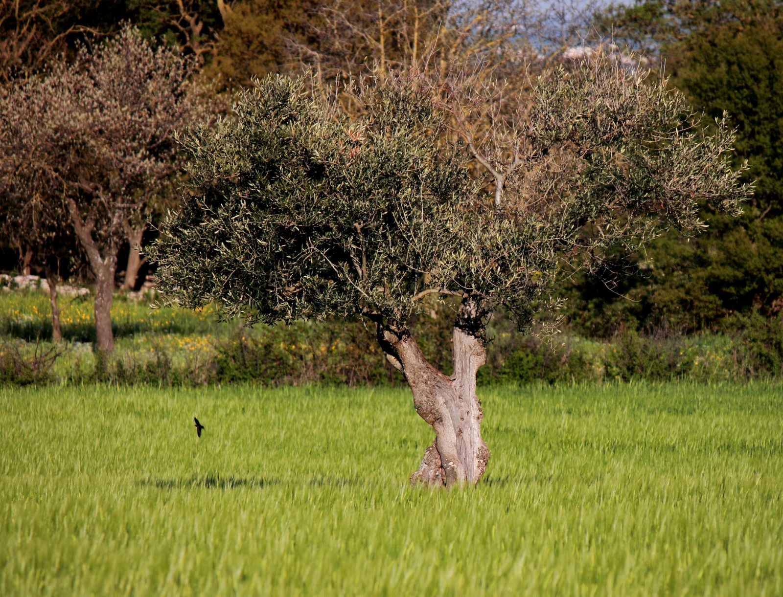 Profile picture for user Goblins_79