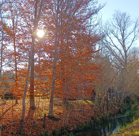 Profile picture for user Kri.