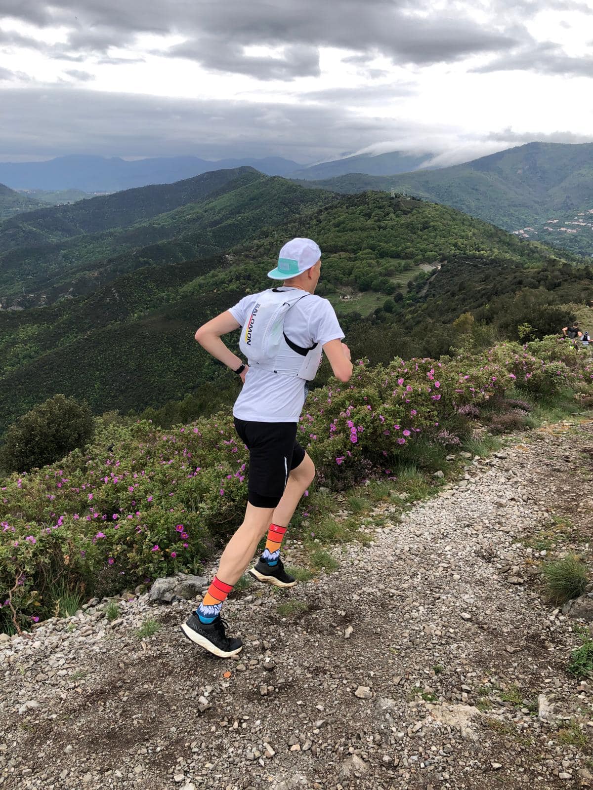 Profile picture for user pettersol