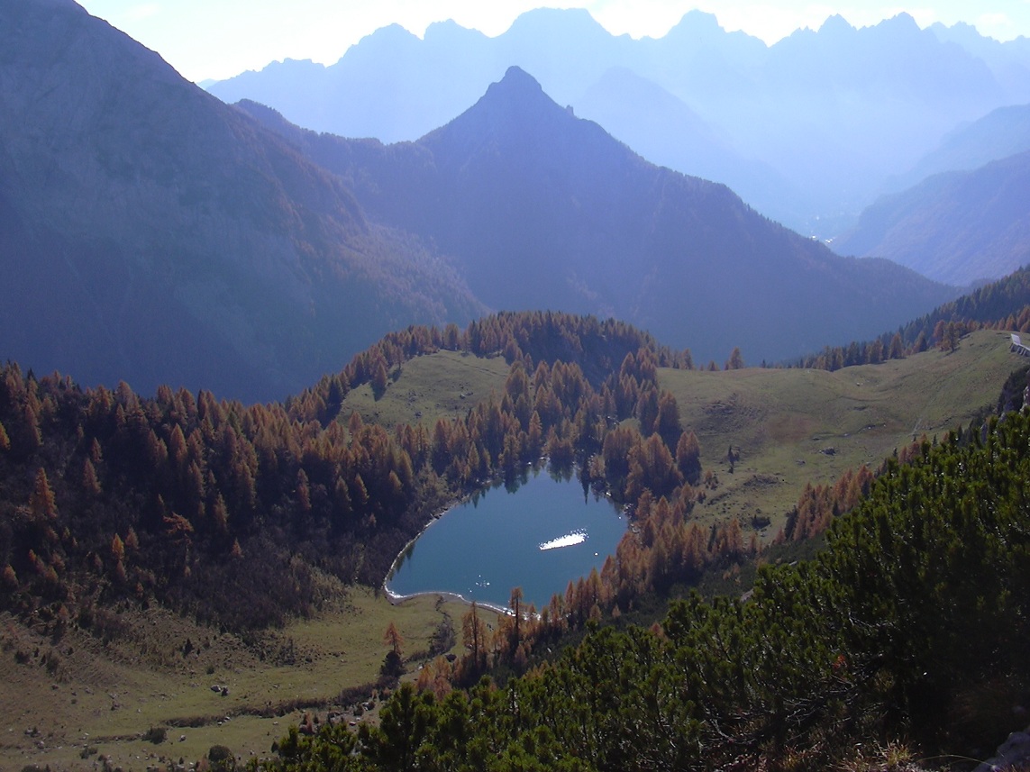 Profile picture for user roby74