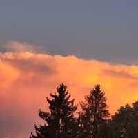 Profile picture for user sabisabi