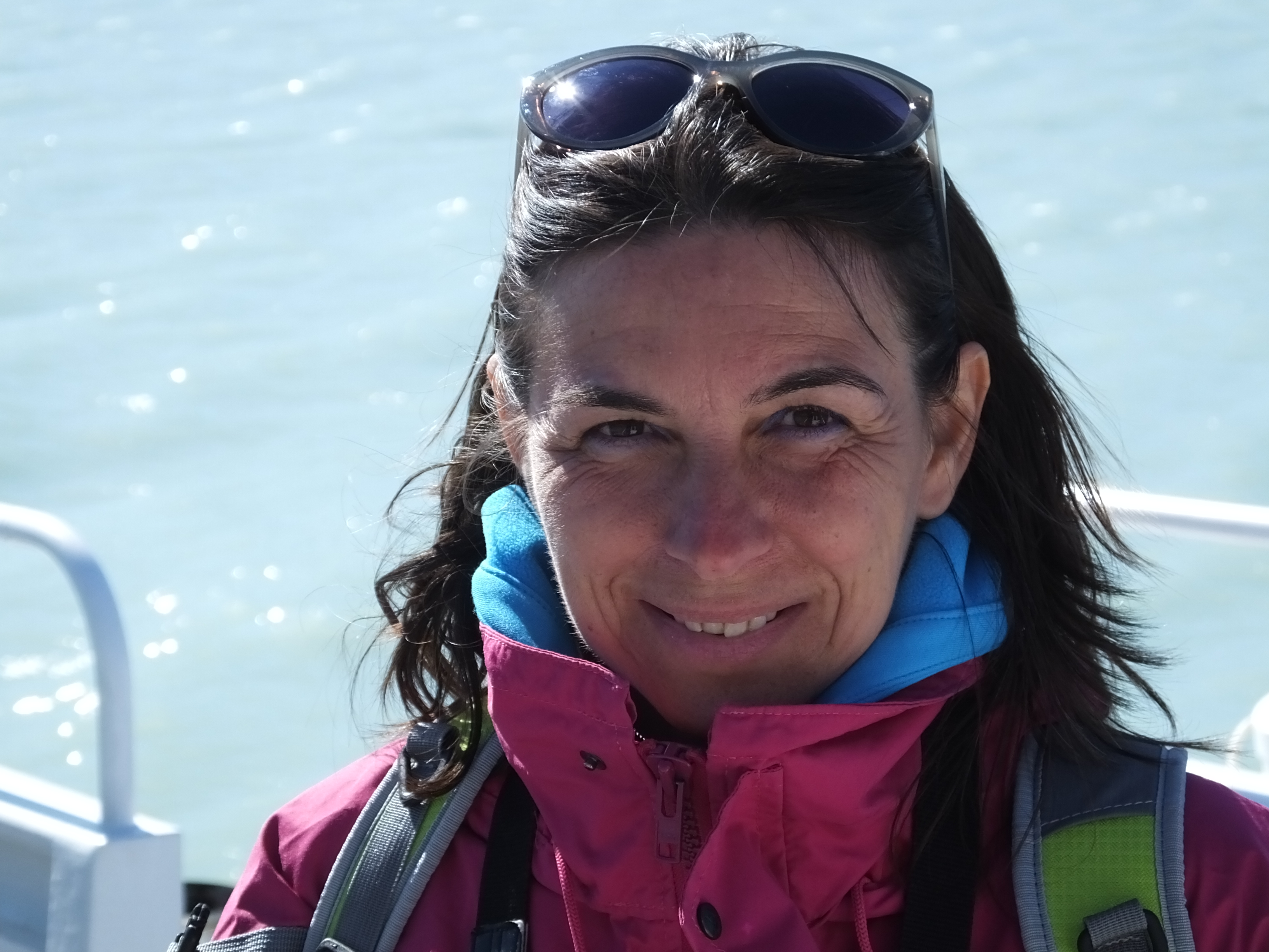 Profile picture for user Stezu