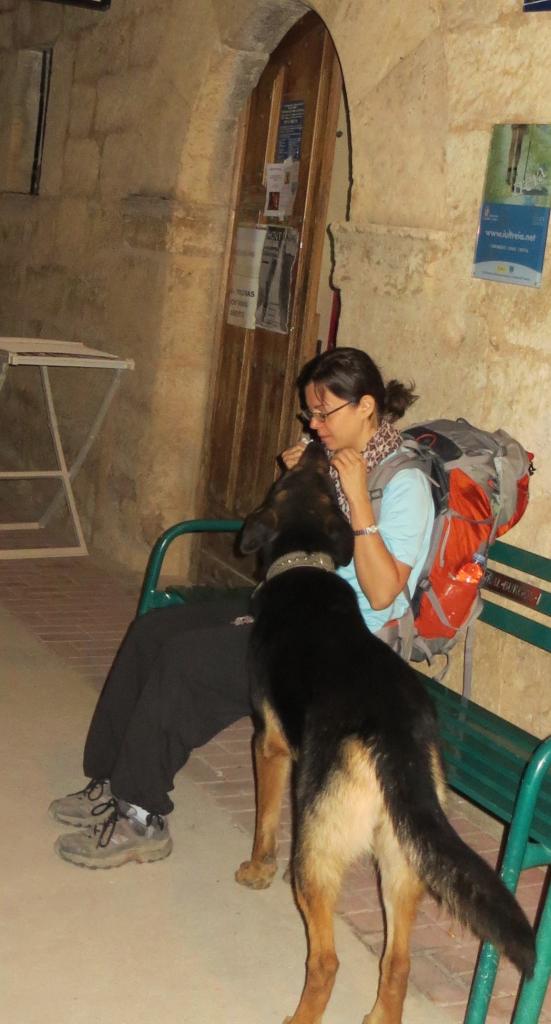 Profile picture for user TerraLuna