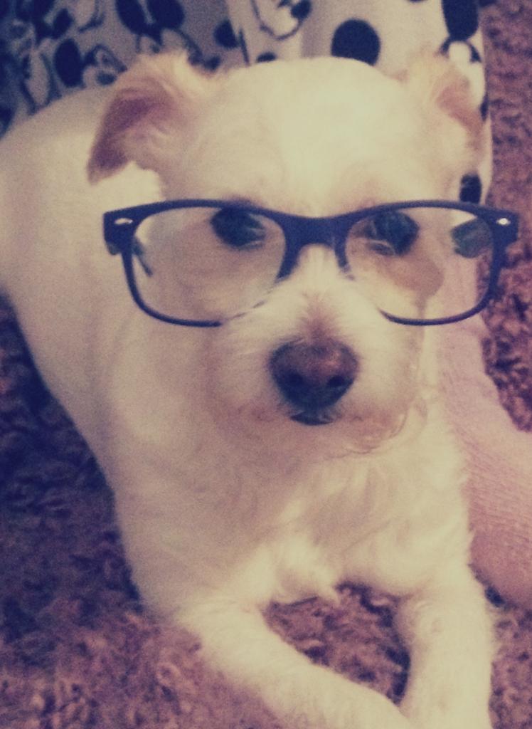 Profile picture for user whisperinthewind