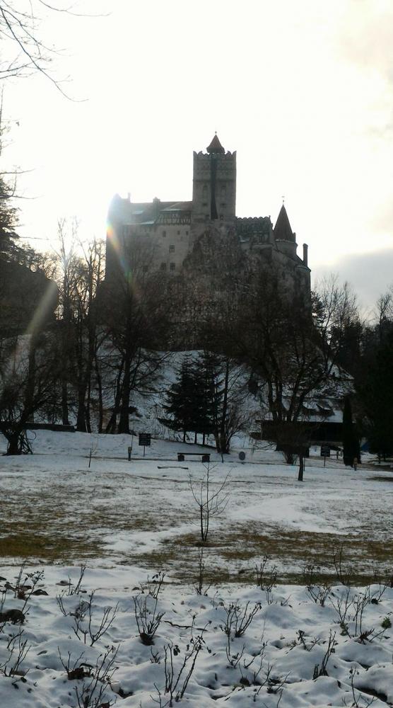 brasov castle